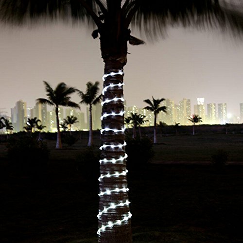 image for Lovin 100 LED Rope Lights – Solar Power Outdoor Waterproof 33ft Copp