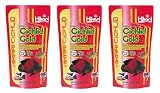 Oscar Fish Care - Everything You Need to Know about Oscar Oscar Fish Care - Everything You Need to Know about Oscar
