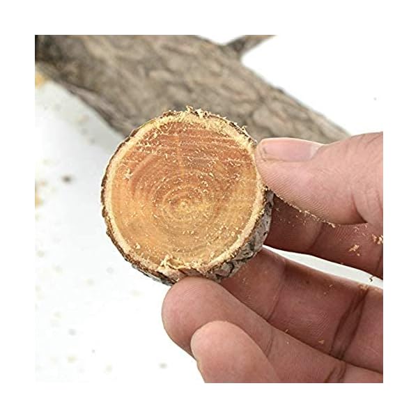 Astsäge Gartensäge Baumsäge Handsäge Zugsäge Holzsäge mit Holster Gürtelklemme – Bild 5