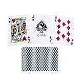 Casino Special Braille Playing Cards