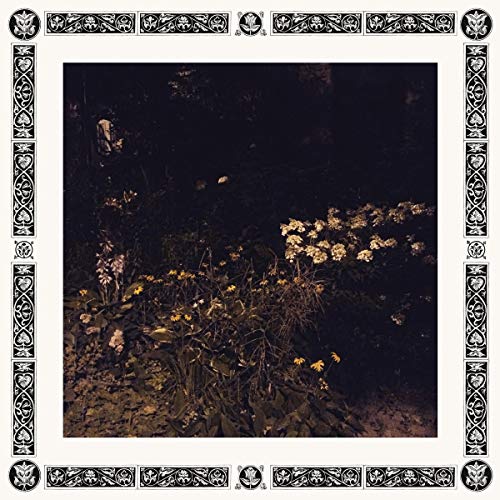 Album Art for Pale Bloom by Sarah Davachi