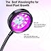 D-FLIFE Upgraded New Dual LED Grow Light Desk Lamp 32LEDs Dimmable 5 Levels Plant Lamp with Adjustable 360 Degree Gooseneck&Timer(3H/6H/12H) for Indoor Plants Hydroponics Greenhouse Gardening 2017