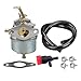Hipa 632230 Carburetor carb for Tecumseh 632272 H30 H50 H60 HH60 Engines with Fuel 3-Feet Fuel Line