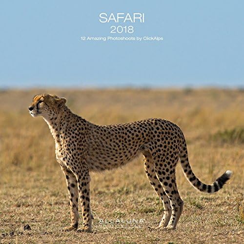 2018 Safari Wall Calendar