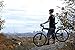 Montague 20-Inch Paratrooper Pro Folding Bike, Matte Black