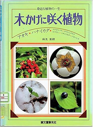 木のかげに咲く植物 身近な植物の一生 重毅 南光 本 通販 Amazon 木のかげに咲く植物 身近な植物の一生 重毅 南光 本 通販 Amazon