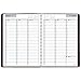 DayMinder Weekly Appointment Book / Planner 2017, 8 x 11