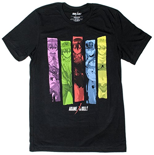 Sentai Filmworks Akame ga Kill Color Block Characters - L