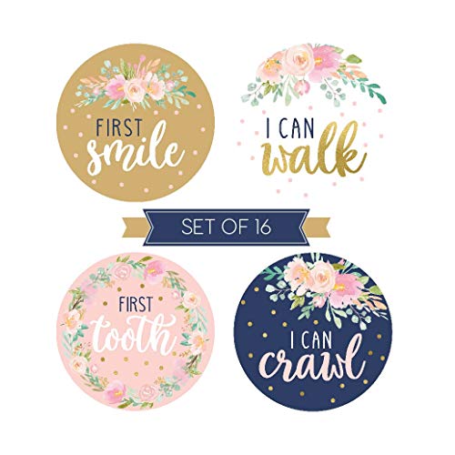 5 Milestone+Stickers+Monthly+Scrapbook+Registry