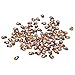 MauSong Pack of 200 Tiny Wooden Bee Flatback Embellishment for Craft Scrapbooking DIY Decor