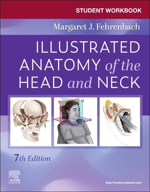 Surgical Approaches to the Facial Skeleton: 9781496380418