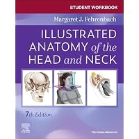 Surgical Approaches to the Facial Skeleton: 9781496380418
