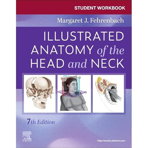 Student Workbook for Illustrated Dental Embryology, Histology and