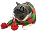Cat Christmas Scarf Costume for Small Pets Puppy,Red Green Stripe Small