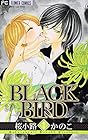 BLACK BIRD 第3巻