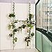 BAOYOUNI Indoor Plant Stands Spring Double Tension Pole Metal Flower Display Rack Space Saver Corner Floral Pot Storage Shelf with 12 Trays, 2 Hooks & 1 Telescopic Rod for Clothes Drying Hanger, Ivory
