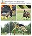 KKUP2U Dog Training Collar, Dog Shock Collar with Watch Remote, 3 Training Modes, Beep, Vibration and Shock, 100% Waterproof Dog Bark Collar, Up to 1000Ft Remote Range for Small Medium Large Dogs