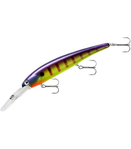 Amazon.com : BANDIT LURES Walleye Shallow Minnow Jerkbait Fishing Lure,  Fishing Accessories, Dives ro 12-feet Deep, Fire Tiger, 4.5 Inch, 5/8  Ounce, (BDTWBS120) : Fishing Diving Lures : Sports & Outdoors