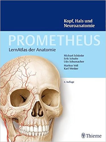 Kopf Hals Und Neuroanatomie Prometheus Lernatlas Der Anatomie Amazon De Schunke Michael Schulte Erik Schumacher Udo Bucher