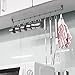 Homfa Kitchen Rail Rack Wall Mounted Utensil Hanging Rack Stainless Steel Hanger Hooks for Kitchen Tools, Pot, Towel (10 Sliding Hooks)
