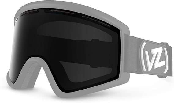 von zipper goggles sale