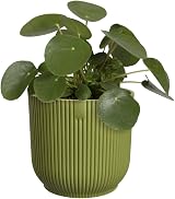 elho Vibes Fold Round 16 Plant Pot 100% Recycled Plastic Green Ø16.1 x H14.8 cm view 9