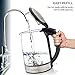 Brewberry Cordless Electric Glass Kettle 1.7l, Auto Shut-Off Feature w/Boil-Dry Protection, 1500W, For Office and Home Use