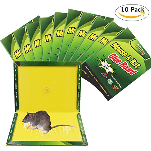 mouse glue trap (10)Mouse Trap,Mouse Glue Traps,(10Pack) Mouse Rat Glue Boards, Mouse Max Size Glue Traps Sticky Boards Mouse Catcher Mice Professional Strength Glue Insect Snake Trapper Lizard Rodent