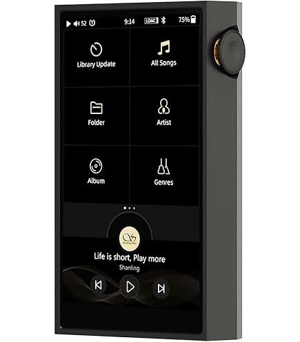 Amazon.com: SHANLING M5 Ultra Leather Case, M5 Ultra Pure Music