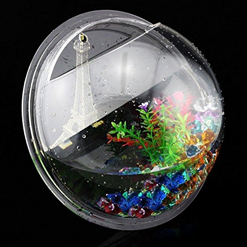 Homecube Wall Hanging Bubble Fish Tank Flowerpot Wall Mount Acrylic Fish Bowl Decoration with stones/plant(Mirror) Patio, Lawn & Garden, Gardening & Lawn Care, Pots, Planters & Container Accessories, Plant Container Accessories