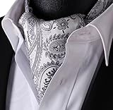SetSense Men's Paisley Jacquard Woven Self Cravat Tie Ascot