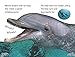 DK Readers L1: Diving Dolphin