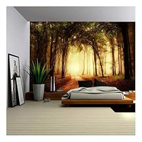 BRAND_NAMEPathway in a Forest with an Orange Glow Wall Mural