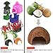 SunGrow Coco Hut for Pets, 5x3 Inches, Smooth-edged Coconut Shell, Compact, Spacious, Perfect Hideout for Your Fish, 1 Piece