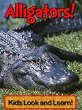 Alligators! Learn About Alligators and Enjoy Colorful Pictures - Look and Learn! (50+ Photos of Alligators)