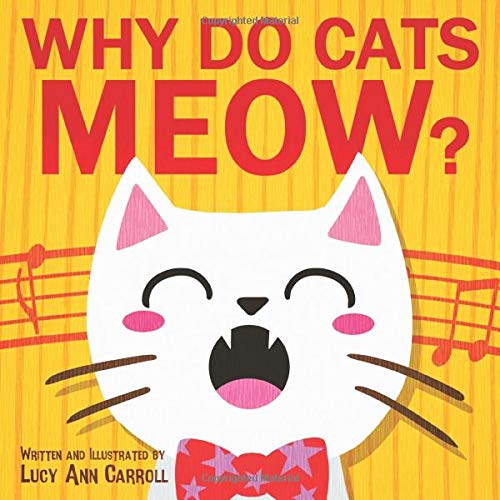 Why Do Cats Meow? Things You May Not Know About Your Cat Fun Facts