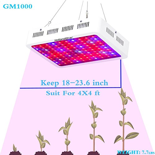 HollandStar LED Grow Light Full Spectrum 1000 Watt/1200W for Indoor Plants Veg and Flower (1000W)