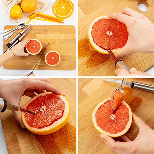 Grapefruit Spoons Knives Utensils Set 12 Pack Premium Set Grapefruit