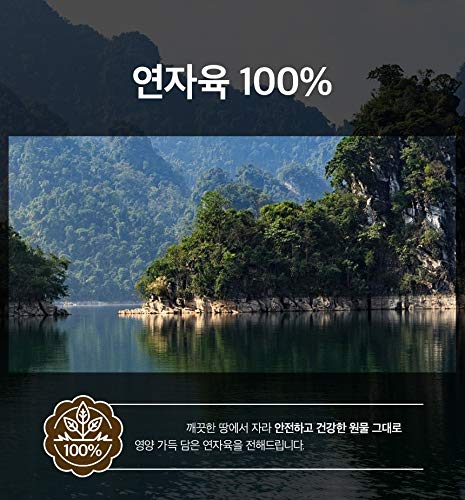 Lotus Seeds Dried 100% Natural Pure and Superior Quality Antioxidant 연자육 蓮子 (300g)