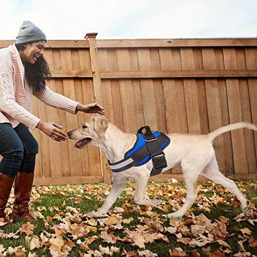 Bolux Service Dog Harness, Easy On and Off Pet Vest Harness, Reflective