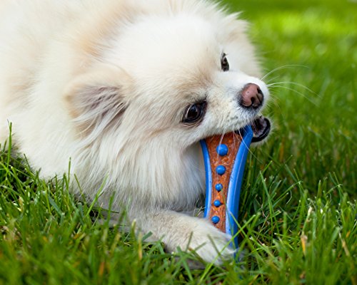 Hartz Chew 'n Clean Dental Duo Bacon Flavored Dog Chew Toy - Medium