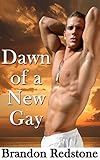 Dawn of a New Gay (MMM Gay First Time Menage Romance)