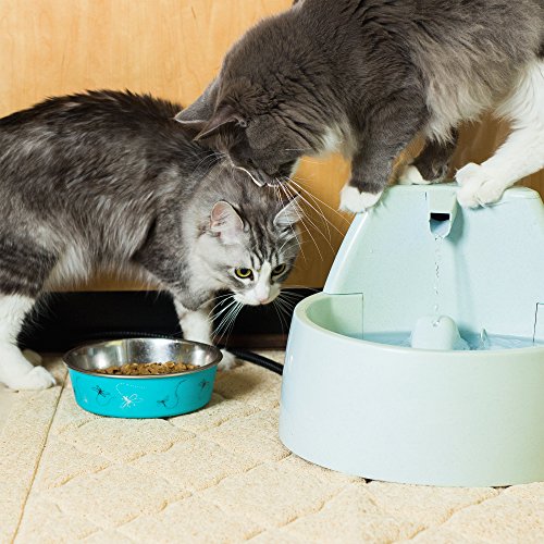 Jumbo Litter Mat 47" x 36" Cat Litter Mat, Traps Messes, Easy Clean, Durable, Non Toxic Trapper Rug - Litter Box Mat, Cat Mat, Kitty Litter Mat