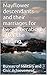 Mayflower descendants and their marriages for two generations after the landing