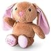 Build a Bear Workshop - Furry Fashions - Ballerina Bunny