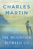 The Mountain Between Us: A Novel