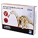 Lychee 3D Educational Gift Wooden Sound Control Dynamic Dinosaur Jigsaw Puzzle, DIY Assemble Dinosaur Robot Wood craft Toy Kit For Age 8+ Boy&Girls (Aptosaurus)