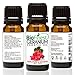 BioFinest Geranium Oil - 100% Pure Geranium Essential Oil - Premium Organic - Therapeutic Grade - Best For Aromatherapy - Reduce Wrinkles- Mood Uplifter - FREE E-Book and Dropper (10ml)