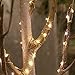 Amyhome 100 LED String Lights with eBook, 33-Feet, Warm White