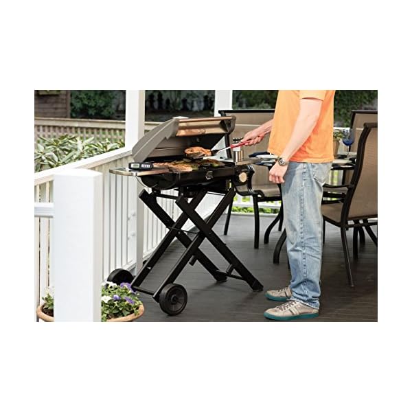Cuisinart-CGG-240-All-Foods-Roll-Away-Gas-Grill-Stainless-Steel